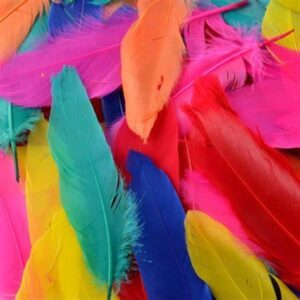Mixed / Assorted Feathers