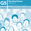NumberSense Companion Grade 5 Workbook