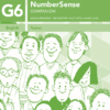 NumberSense Companion Grade 6 Workbook