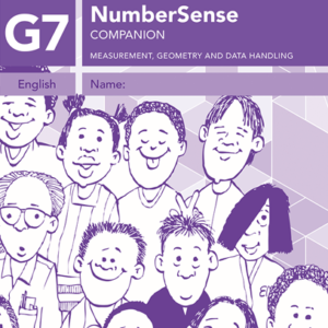 NumberSense Companion Workbooks