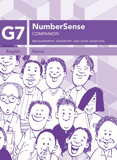 NumberSense Companion Workbooks