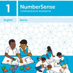 NumberSense Workbooks (Grade 1 - 3) Comprehensive