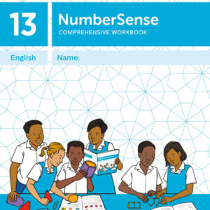 NumberSense Workbooks (Grade 4 - 6) Comprehensive